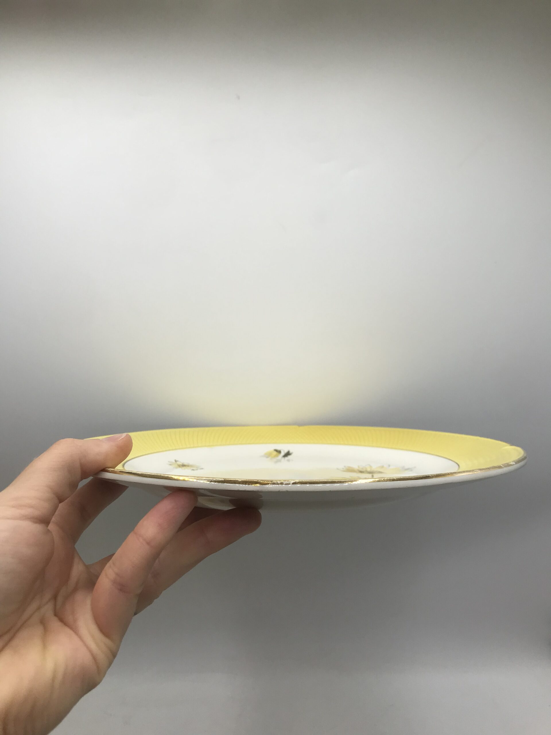 Service de 20 assiettes plates Salins – Image 3