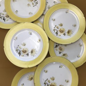 Service de 20 assiettes plates Salins
