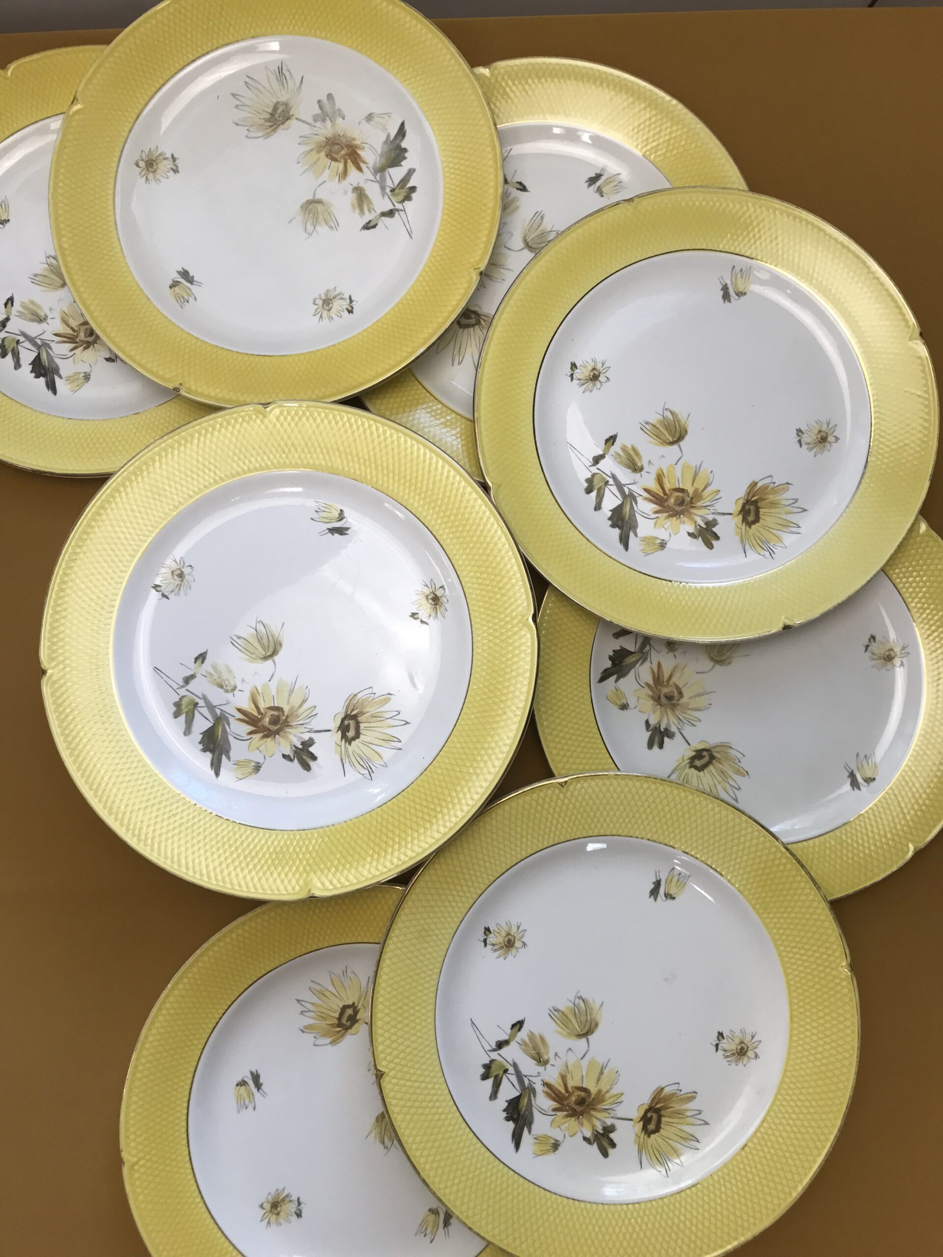 Service de 20 assiettes plates Salins