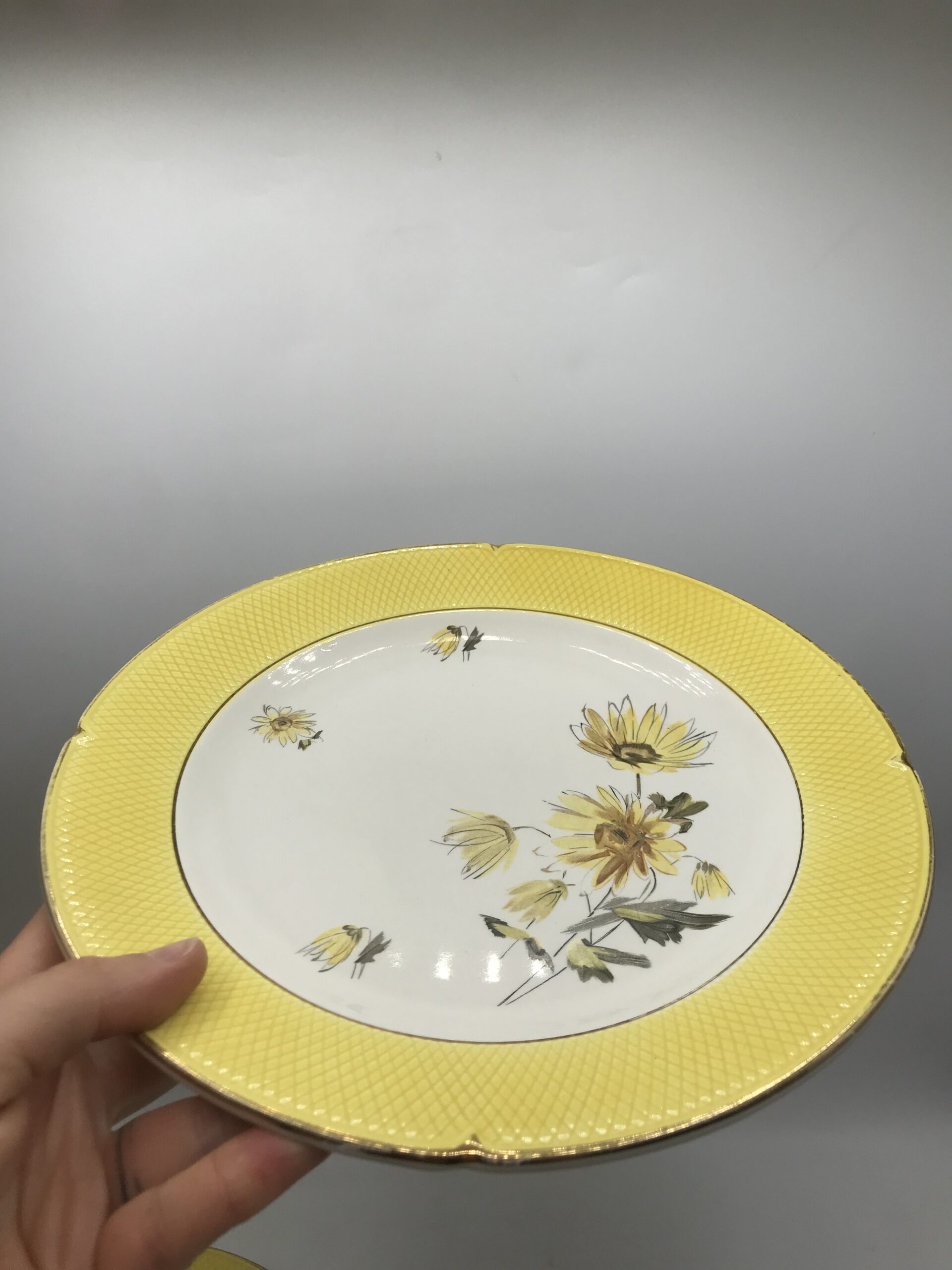 Service de 20 assiettes plates Salins – Image 4