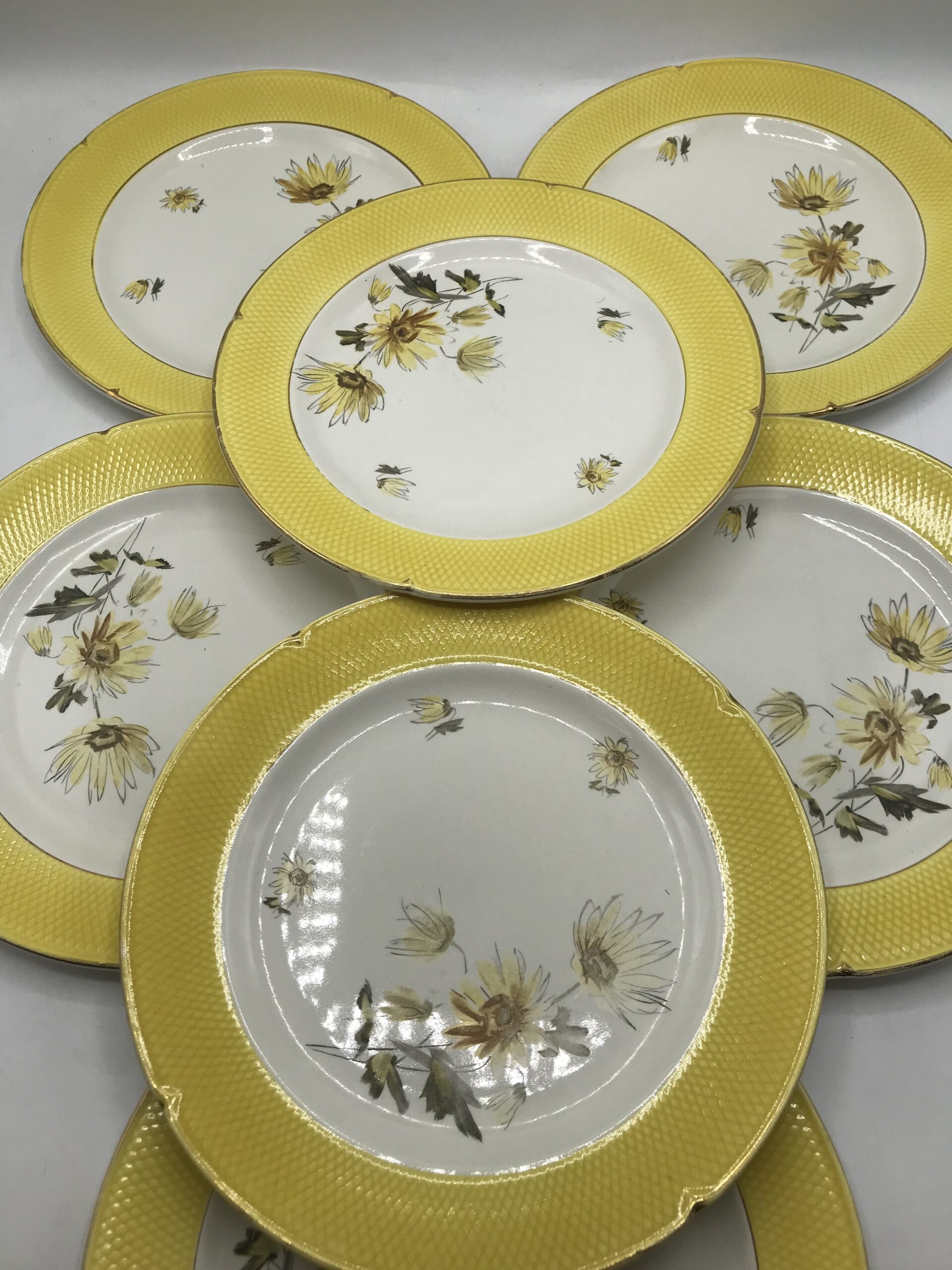 Service de 20 assiettes plates Salins – Image 7