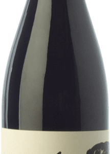 Succés El Mentider Trepat Conca de Barberà Jeune 75 cl. en stock
