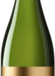 Mestres Mas Via Vintage Cava 75 cl.