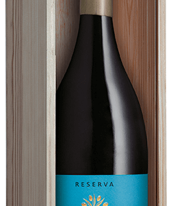 Carm Reserva Red Magnum 2022 bon plan