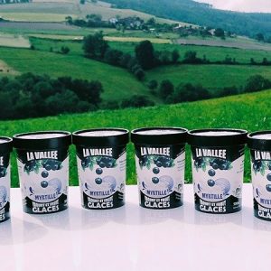Coffret Yaourt glacé à la myrtille « la Vallée » 6x500ml