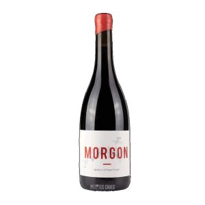 Morgon 2023 | Thibault Ducroux