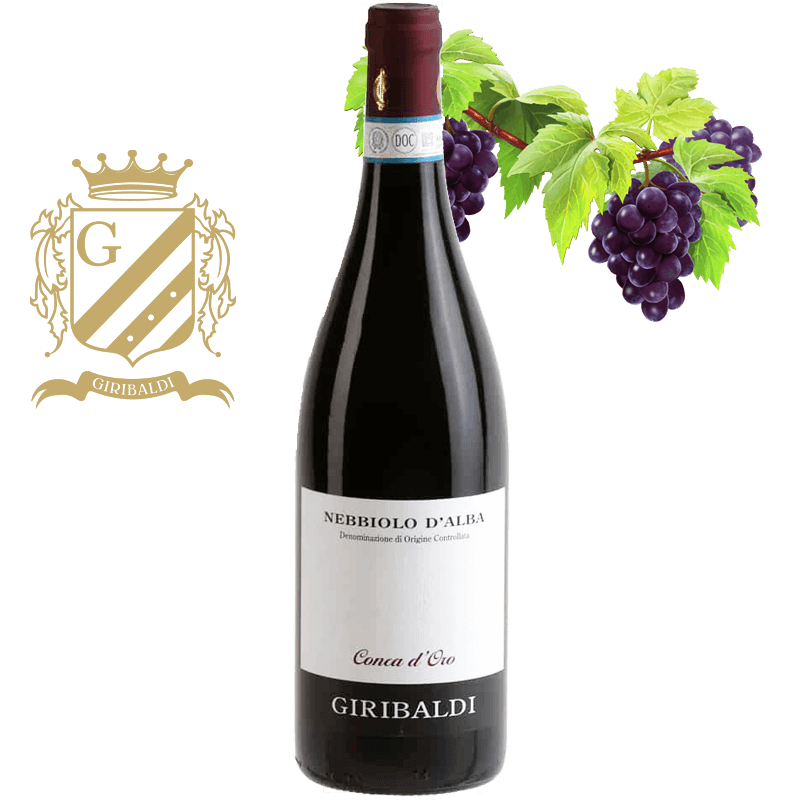 Azienda Mario Giribaldi Nebbiolo d Alba en solde
