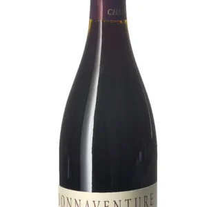 Chinon Rouge – 2020 – Château de Coulaine