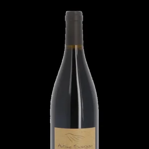 Domaine Antoine Sanzay, Les Poyeux 2022 Rouge