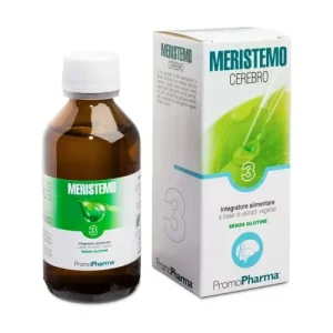 Meristemo ynkhas 3