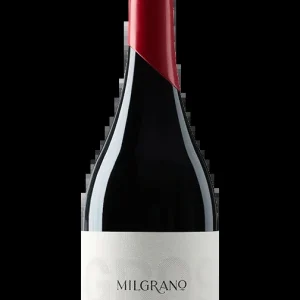 Milgrano 2020