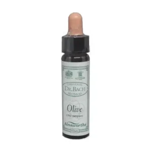 n° 23 Olive