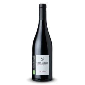 Touraine « Les Pentes » Domaine des Hauts Baigneux BIO 2021