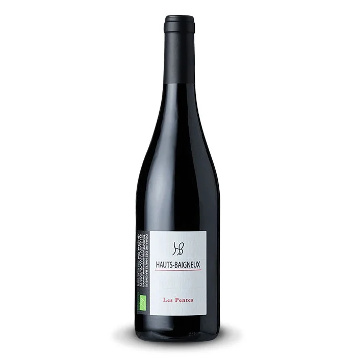 Touraine « Les Pentes » Domaine des Hauts Baigneux BIO 2021 – Image 2